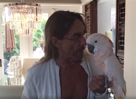 Iggy Pop’s Cockatoo Biggy Named Australian Wildlife .